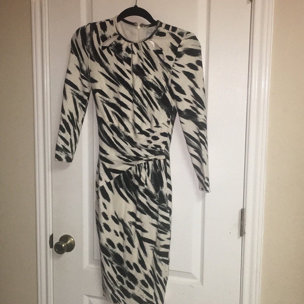 Xs brush strokes caché dress